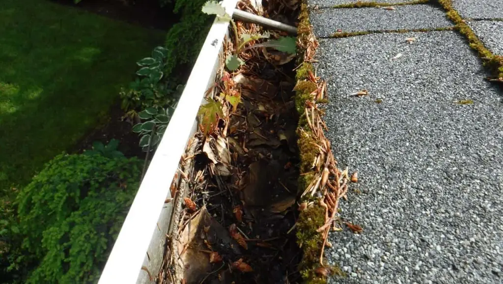 Bad Gutter Protection Can Harm Your Home