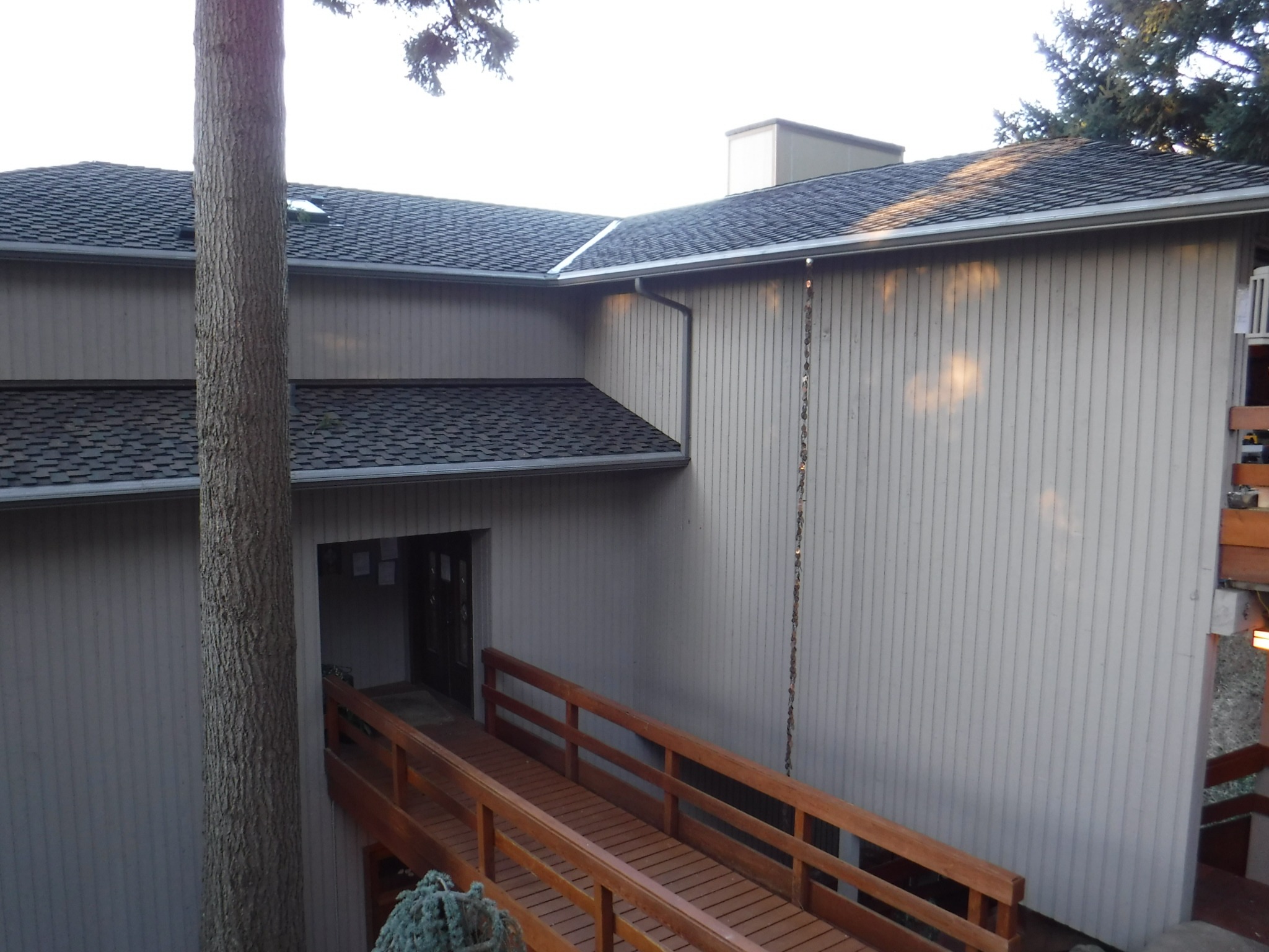 Professional MossEaters installation team at work