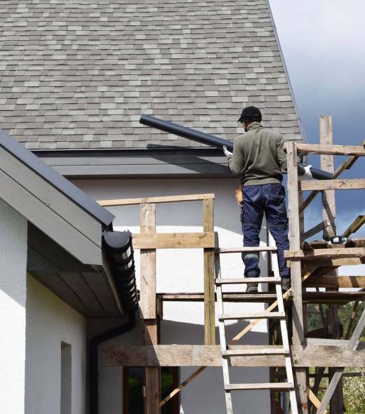 Professional gutter cleaning and maintenance