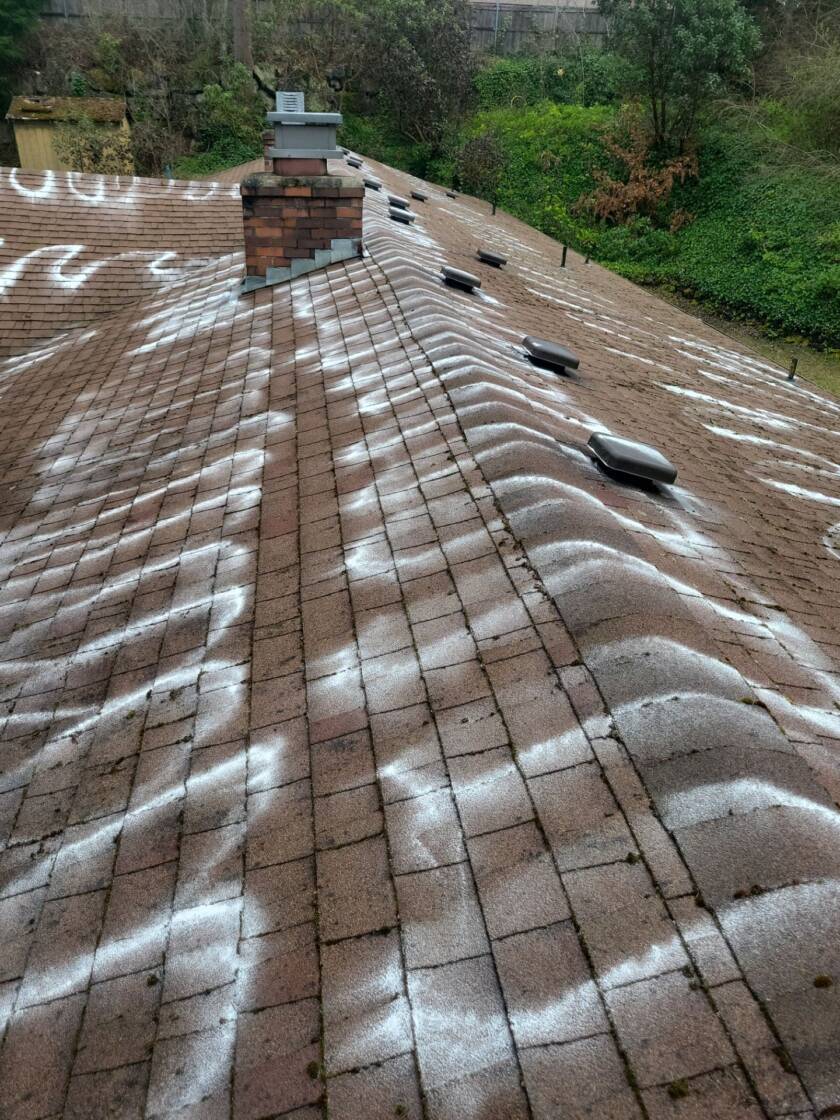 Roof Care & Maintenance 101