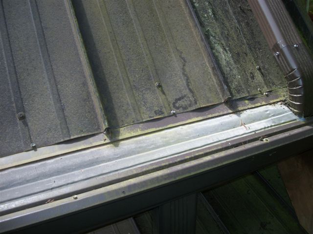Close-up showing fine debris and pollen buildup that clogs ordinary gutter guards