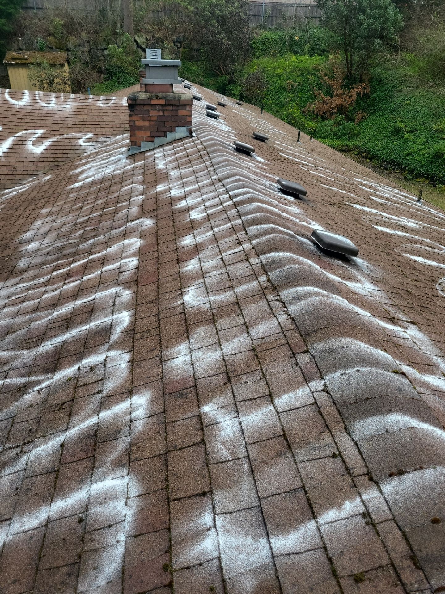 Professional roof maintenance and care